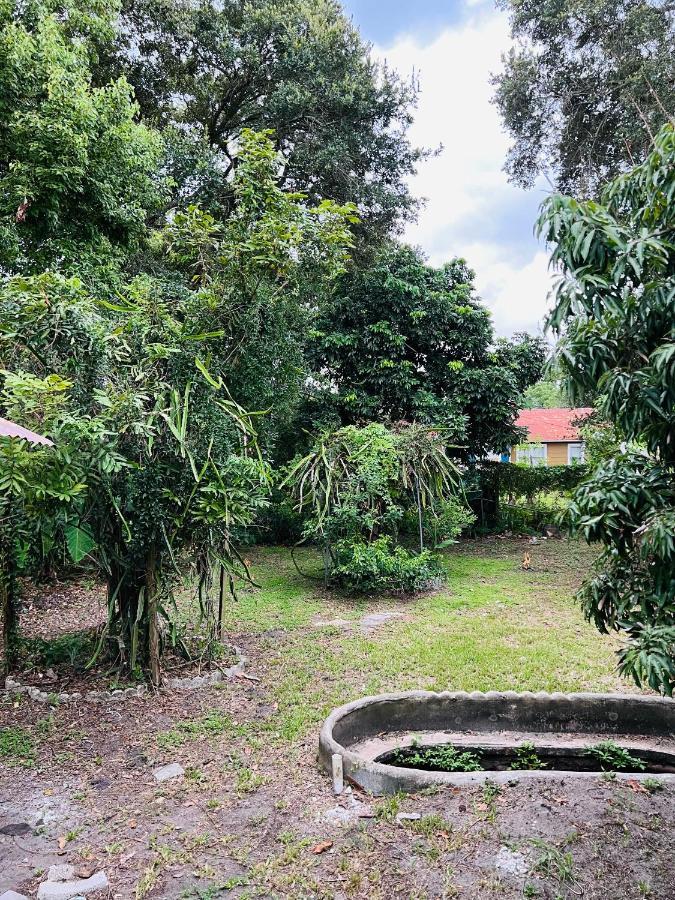 3Bdrm Fruit Tree Home Near Downtown Orlando Buitenkant foto