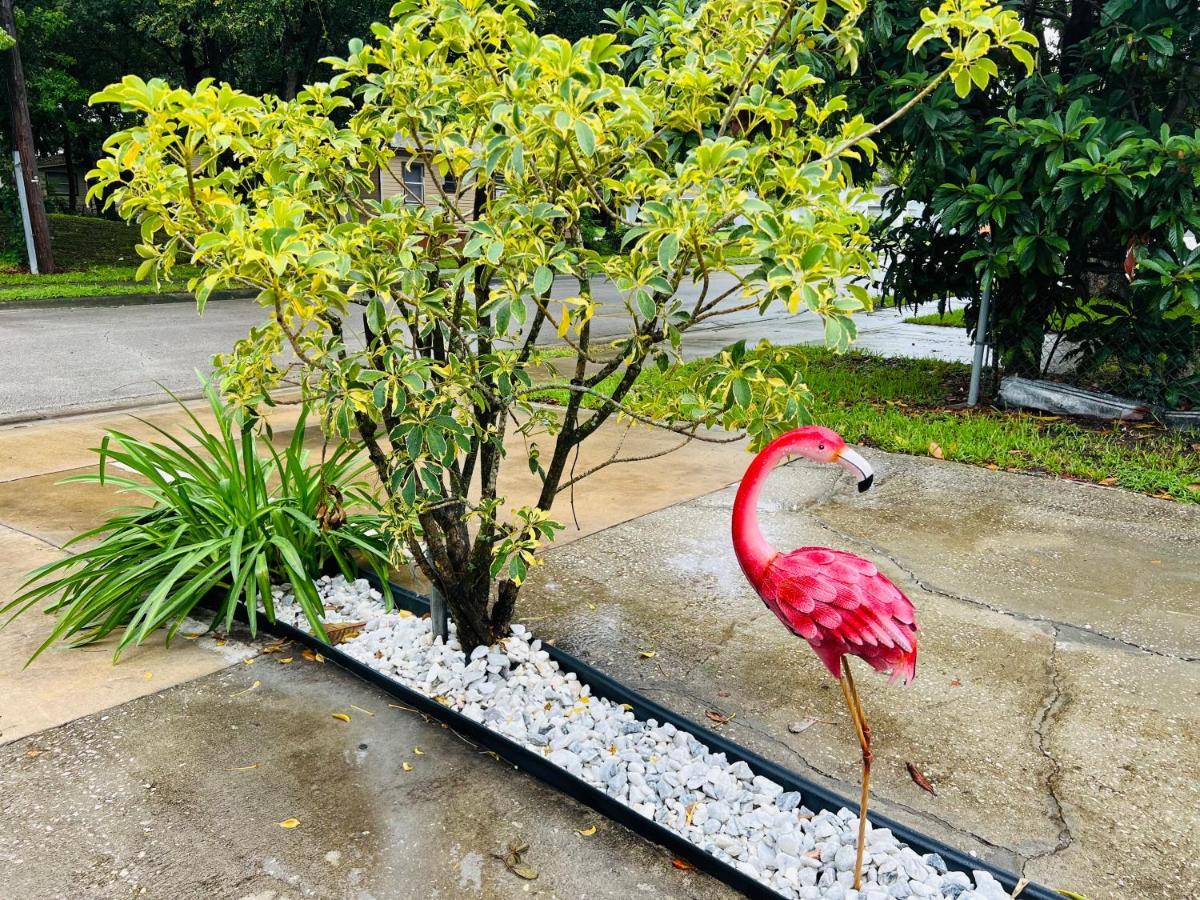 3Bdrm Fruit Tree Home Near Downtown Orlando Buitenkant foto