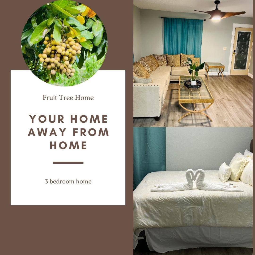 3Bdrm Fruit Tree Home Near Downtown Orlando Buitenkant foto